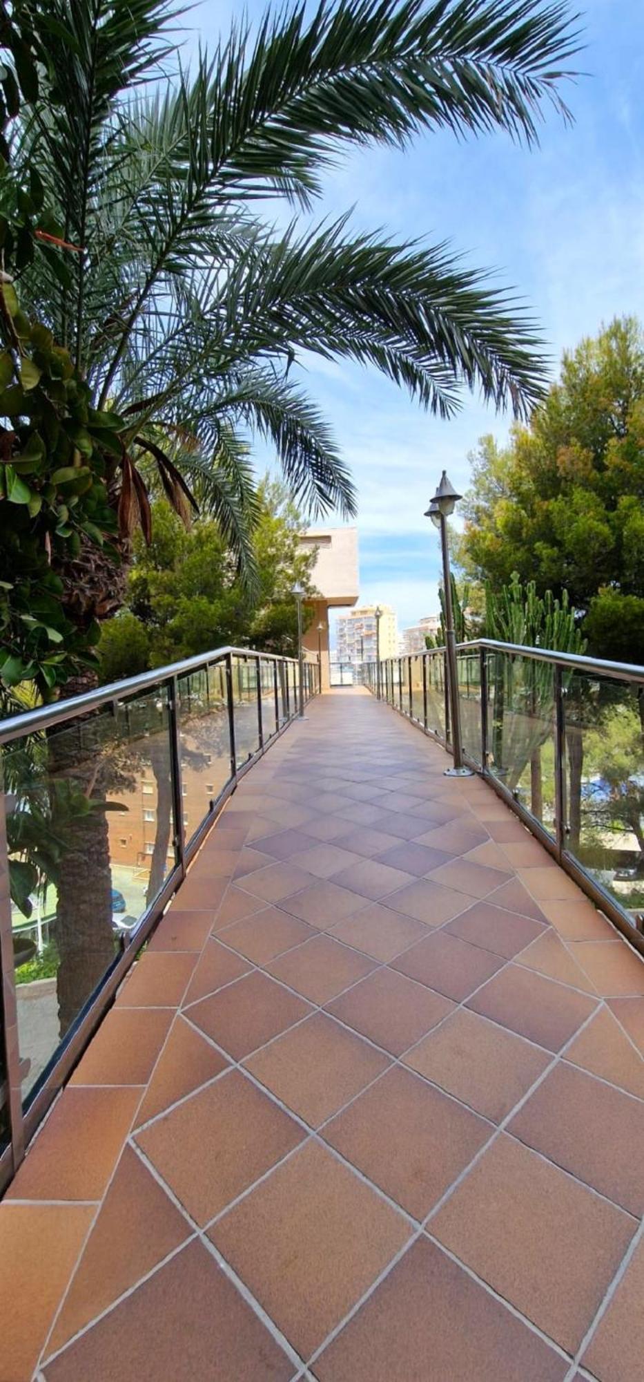 Apartment Don Miguel Ii